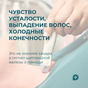 Чувство усталости, выпадение волос, холодные конечности — это не осенняя хандра, а сигнал щитовидной железы о помощи