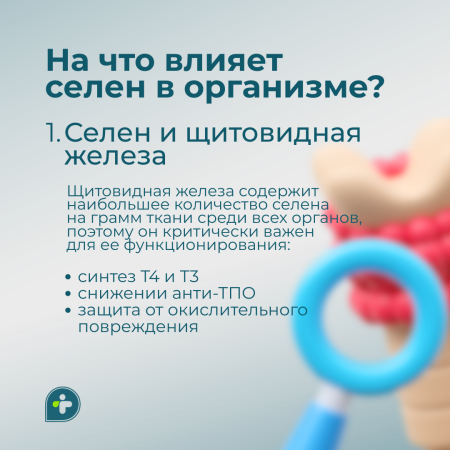 Селен = молодость и жизненная энергия