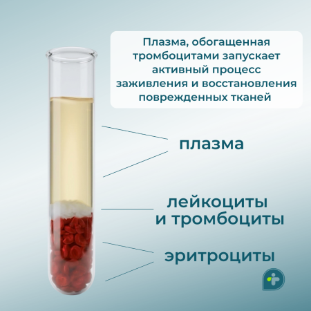 ВАШ ОРГАНИЗМ ЛЕЧИТ СЕБЯ САМ!
