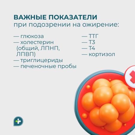 Ожирение — это вопрос эстетики или здоровья?