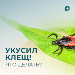 УКУСИЛ КЛЕЩ! ЧТО ДЕЛАТЬ?