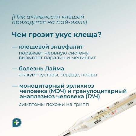 УКУСИЛ КЛЕЩ! ЧТО ДЕЛАТЬ?