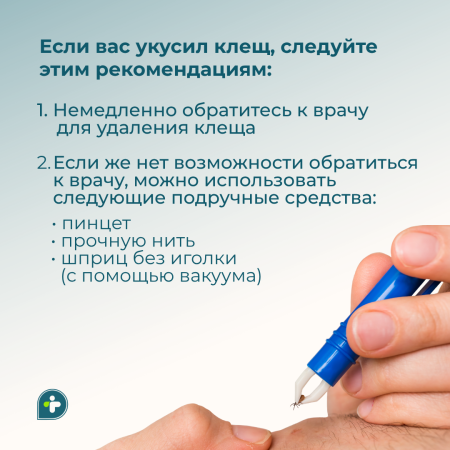 УКУСИЛ КЛЕЩ! ЧТО ДЕЛАТЬ?