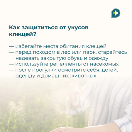 УКУСИЛ КЛЕЩ! ЧТО ДЕЛАТЬ?